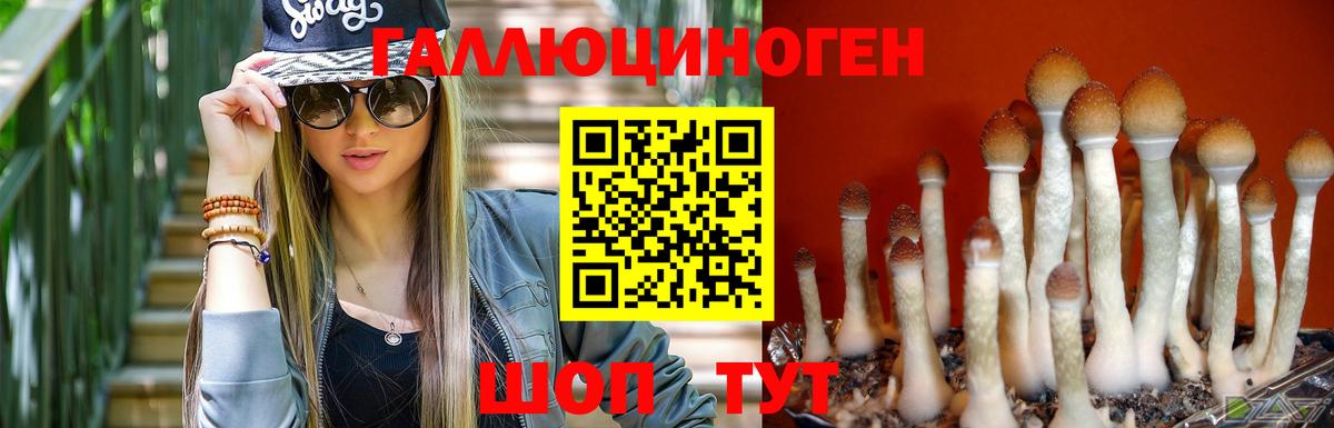 Зеленодольск  Галлюциногенные грибы Psilocybine cubensis  Галлюциногенные грибы Magic Shrooms  Вход с VPN 